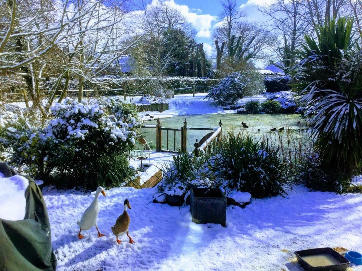 The Pavilion At Brunger House Tenterden Bagian luar foto
